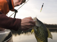 Q&A: Thinking fall fishing as water temperatures cool and daylight dwindles