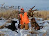 Rooster roundup: snow and the best ring-necked pheasant hunting of the season