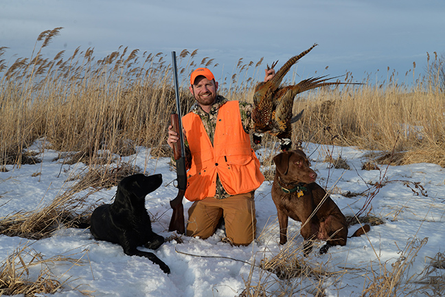 Rooster roundup: snow and the best ring-necked pheasant hunting of the season