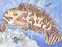 Kids’ State-Fish Art Contest includes aquatic invasive species category