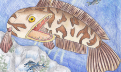 Memory of former State-Fish Art winner honored - Major League Fishing