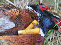 Choosing a reliable shotshell for upland hunting