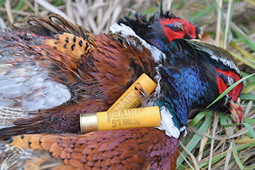 Choosing a reliable shotshell for upland hunting