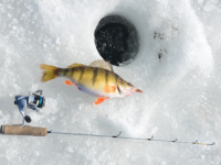 Managing sights and sounds during the heart of hard-water fishing season