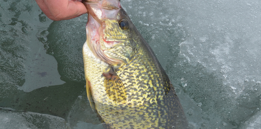 Pondering fishing’s grand questions between ice and open-water seasons