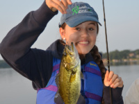 Where have all the big fish gone?