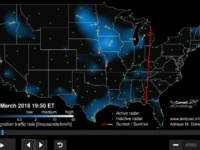 Migration madness signals the heart of the birdwatching season