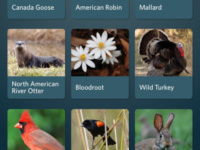 As peak spring migration looms, ‘Seek’ new nature game apps and tools