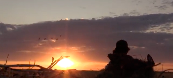 Delta Waterfowl celebrates hunter recruitment [video]