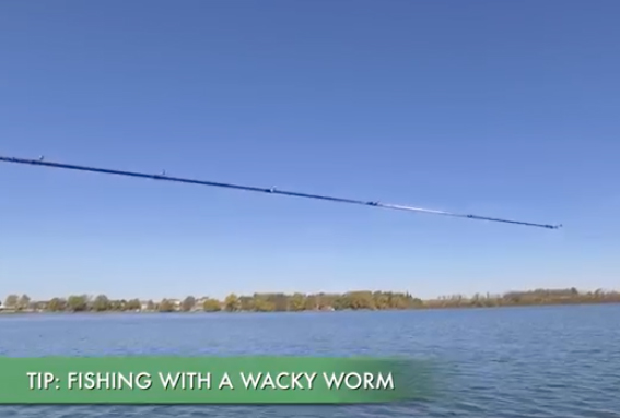 Fishing for position – wacky-rigging your way to bigger bass [video]