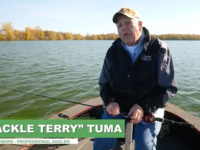 Another look at a top all-American bass-fishing presentation: wacky rigging [video]