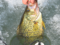 First national high school ice fishing championship set for Mille Lacs in late December