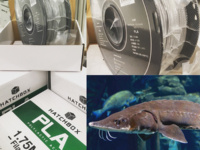A sturgeon-sized undertaking, but high-schoolers up to the task