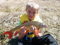 Scratch your fishing itch with springtime river rough fish
