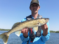 Open water fishing tips: Catch more walleyes with spinner rigs in shallow water