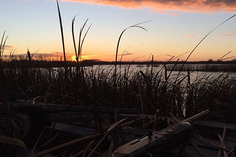 Waterfowl hunting tip, staying camouflaged is key to a successful hunt
