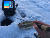 Ice fishing tips: Go-to baits and jigging tactics for first ice walleyes