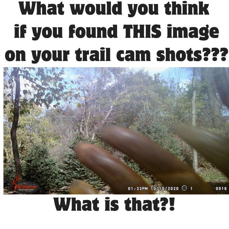 Creepy Trail Cam Pics