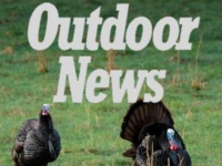 3 Turkey Decoy Tips
