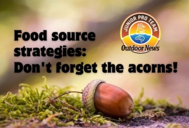 Food Source Strategies – Acorns!