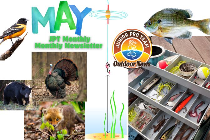 https://outdoornews.activehosted.com/index.php?action=social&c=1814&m=1851